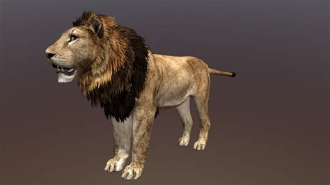 Lion 3d Ar View