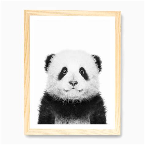 Panda Bear Wall Art Print Fast Shipping Fy