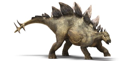 Jurassic World Stegosaurus By Sonichedgehog2 On Deviantart