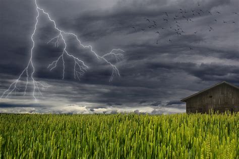 Free Images Landscape Cloud Sky Field Meadow Prairie Wind Dark