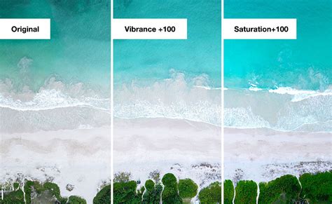 Vibrance Vs Saturation Differences And When To Use Them