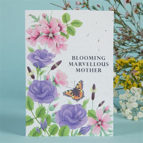 Mother T Box Cath Tate Cards