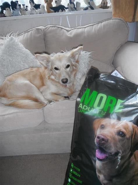 As a pet parent, you desire to provide the best nutrition to your furry friend. Madhouse Family Reviews: More Dog Food review