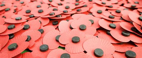 Poppy Shop Uk Charity Ts The Royal British Legion Shop