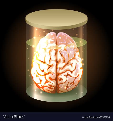 Brain In Jar Royalty Free Vector Image Vectorstock