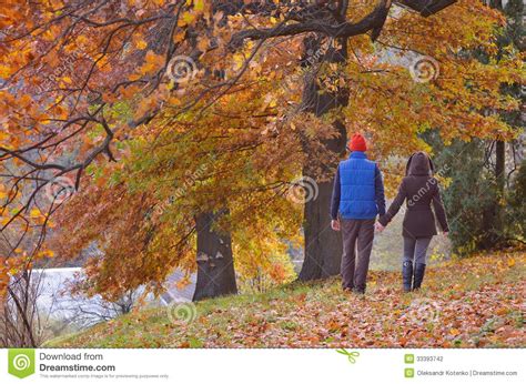 Couple In Autumn Park Stock Photo Image Of Affection 33393742