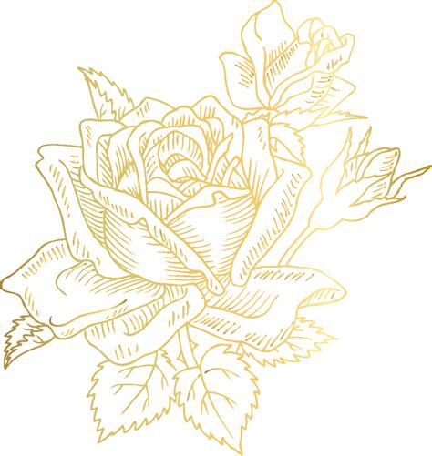 Download High Quality Rose Clipart Gold Transparent Png Images Art