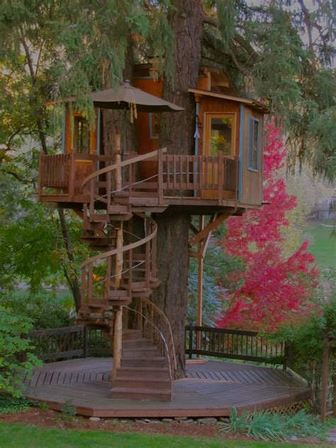 Top Tree House Spiral Staircase 2023 Stair Designs