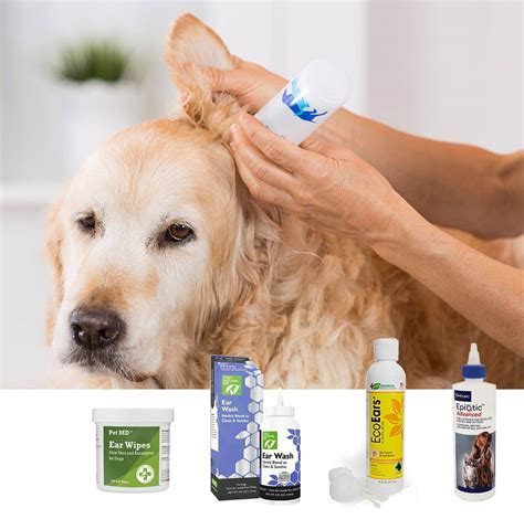 Dog Ear Cleaning Solution Recipe Curicyn Ear Cleaning Solution For