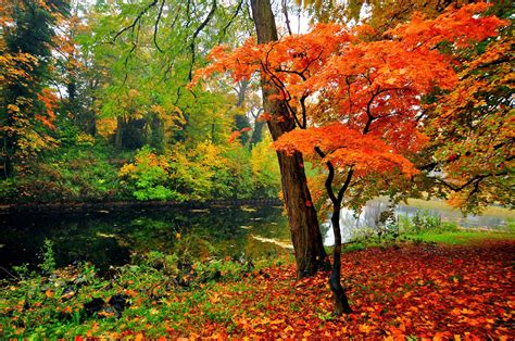 Autumn River Hd Wallpaper Background Image 1920x1275 Id746477