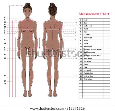 Woman Body Measurement Chart Scheme Measurement Stock Vector Shutterstock