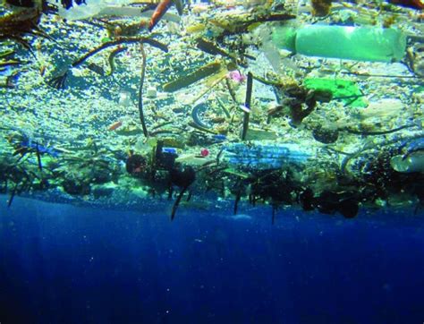 Ocean Plastic Pollution Is Hazardous Waste The Us Should Ban