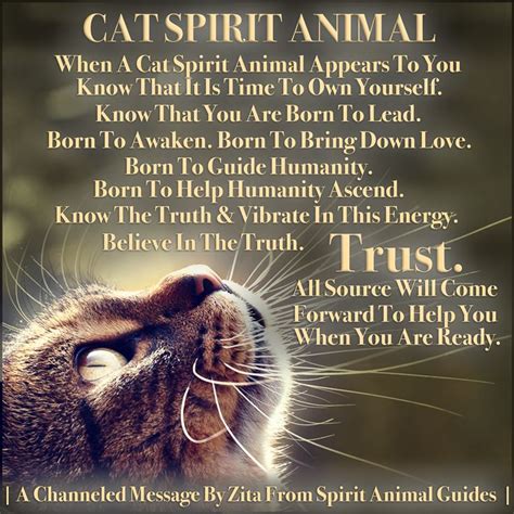 Cat Spirit Animal Cat Spirit Animal Animal Spirit Guides Spirit Animal