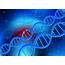 Researchers Identify New Genetic Disorder  Research & Development World
