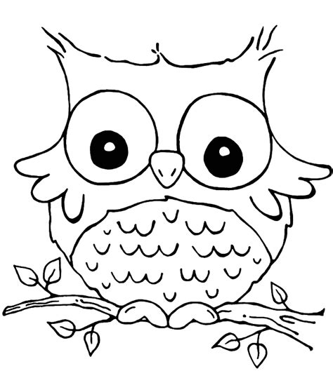 Nocturnal Bird Owl Coloring Pages 34 Pictures Cartoon Clip