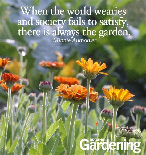 234 Best Garden Talk Images On Pinterest
