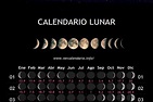 Mês Do Calendário Lunar Fevereiro 2020 (Brasil)
