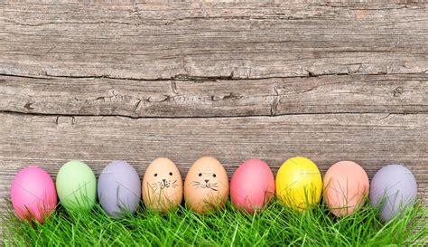 Easter Eggs In Green Grass High Quality Holiday Stock Photos