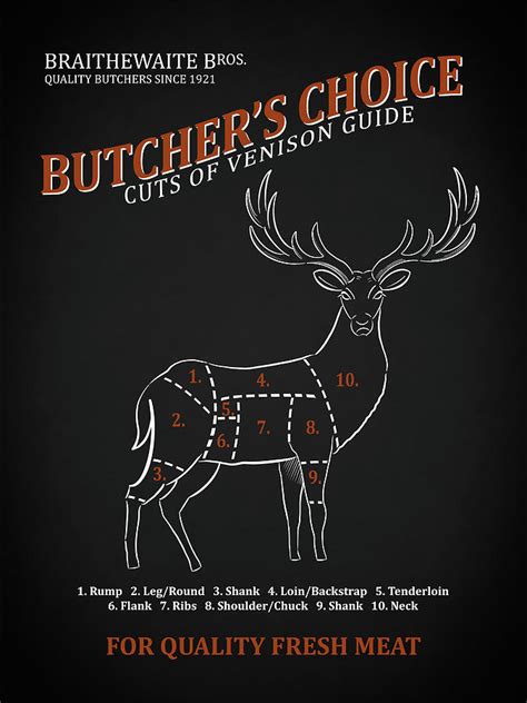 Butchery Guide Cuts Of Venison Photograph By Mark Rogan Pixels