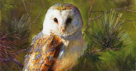 Barn Owl Oil Painting A Celebration Of Nature David Crane