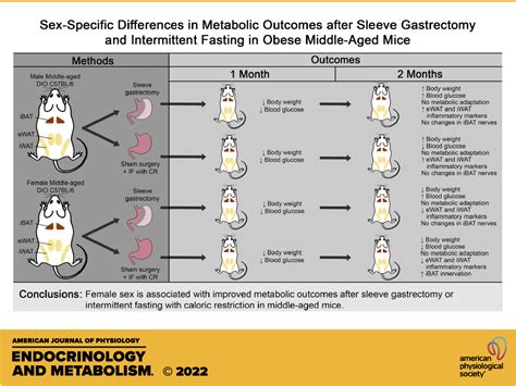 Sex Specific Differences In Metabolic Outcomes After Sleeve Gastrectomy And Intermittent Fasting