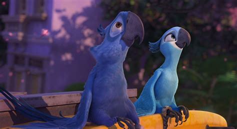 Rio Film Rio Movie The Birds Movie Angry Birds Movie Disney