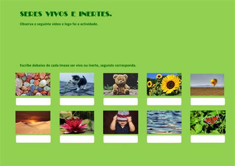 Seres Vivos E Inertes Online Activity Images