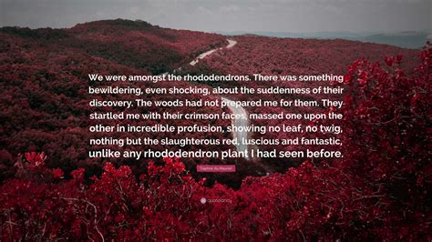 Daphne du Maurier Quote: “We were amongst the rhododendrons. There was