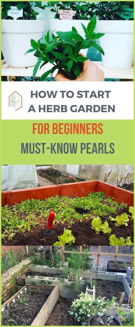We did not find results for: How to Start Growing Veggie Gardens | Vegetable garden for ...
