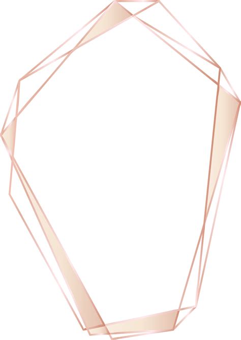 Pink Gold Geometric Frame Floral Illustration Transparent Background