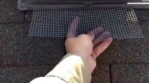 Damage from squirrels can be expensive to repair. Animal proofing plastic roof vents - YouTube