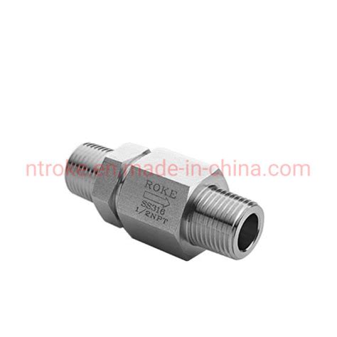 China Stainless Steel Nptbsptbspp Male Thread Check Valve Hydraulic