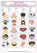 Face Parts English ESL Vocabulary Worksheets - - EngWorksheets