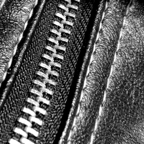 Zipper Leather 3 Free Stock Photo Public Domain Pictures