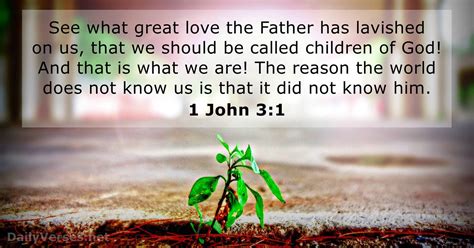 1 John 31 Bible Verse