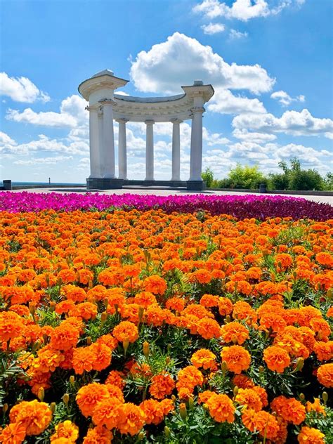 White altanka Poltava stock image. Image of background - 84183897