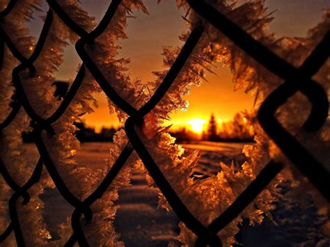 Fence Ice Snow Winter Sunrise Silhouette Nature