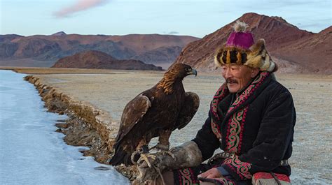 Golden Eagle Hunting Goat