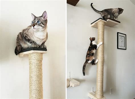 It's pretty straightforward to get done, and your cat gets to climb around and still feel regal when sitting on the highest shelf. Save Space in Style With These Wall-Mounted Cat Scratchers ...
