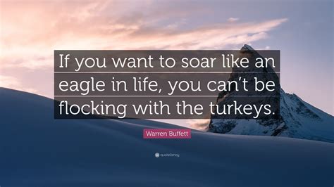 Turkeys begrudge eagles when they spread their wings to fly. Warren Buffett Quote: "If you want to soar like an eagle in life, you can't be flocking with the ...
