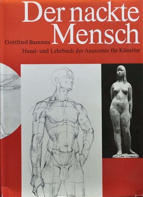 Bammes Gottfried Ideen Anatomie Anatomie Kunst Anatomie Zeichnung My Xxx Hot Girl