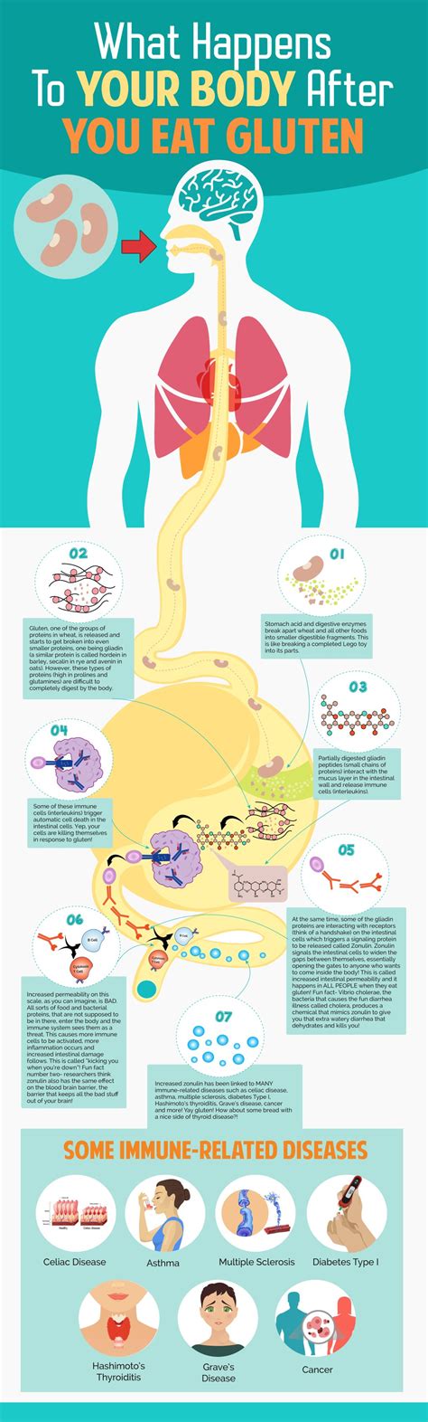 What Happens When You Eat Gluten Its Not Good Premier Formulas