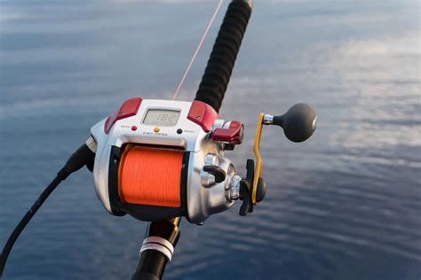 Best Spinning Reel For Striped Bass
