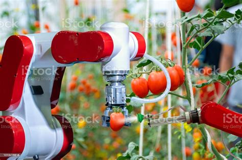 Smart Robotic Farmers In Agriculture Futuristic Robot Automation To