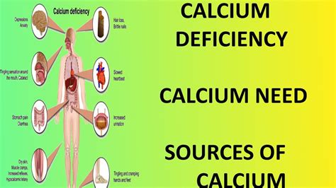 how much calcium does our human body needcalcium supplements when you don t consume enough