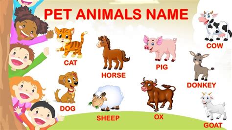 Learn Pet Animal Name In English With Spelling Domestic Animals With