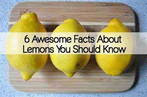 6 Awesome Facts About Lemons You Should Know