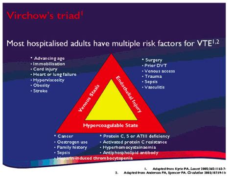 Virchows Triad Risk Factors For Venous Thromboembolism Vte Deep