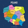 Mapa Administrativo De Polonia Coloreado - Descargar Vector