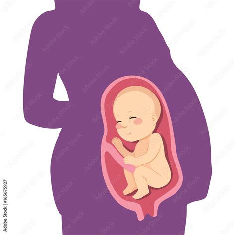 Cute Unborn Fetus Baby On Mother Womb Stock Vector Adobe Stock